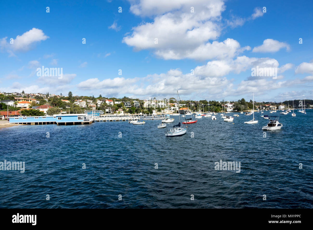 Watson Bay e il Vaucluse Yacht Club di Sydney Foto Stock