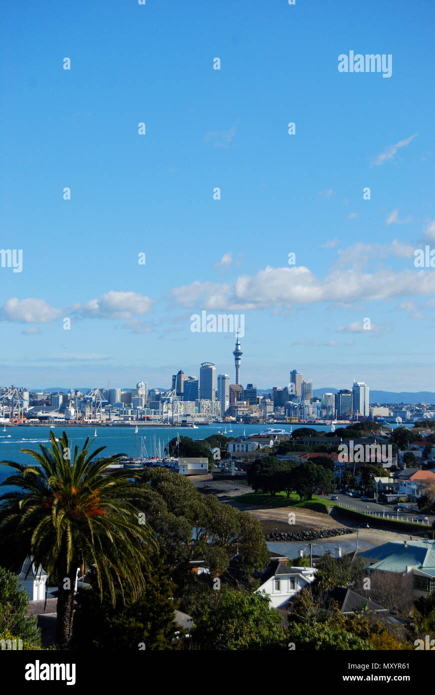 Vista panoramica del porto di Auckland e della Sky Tower, da Devonport, North Shore, Nuova Zelanda Foto Stock