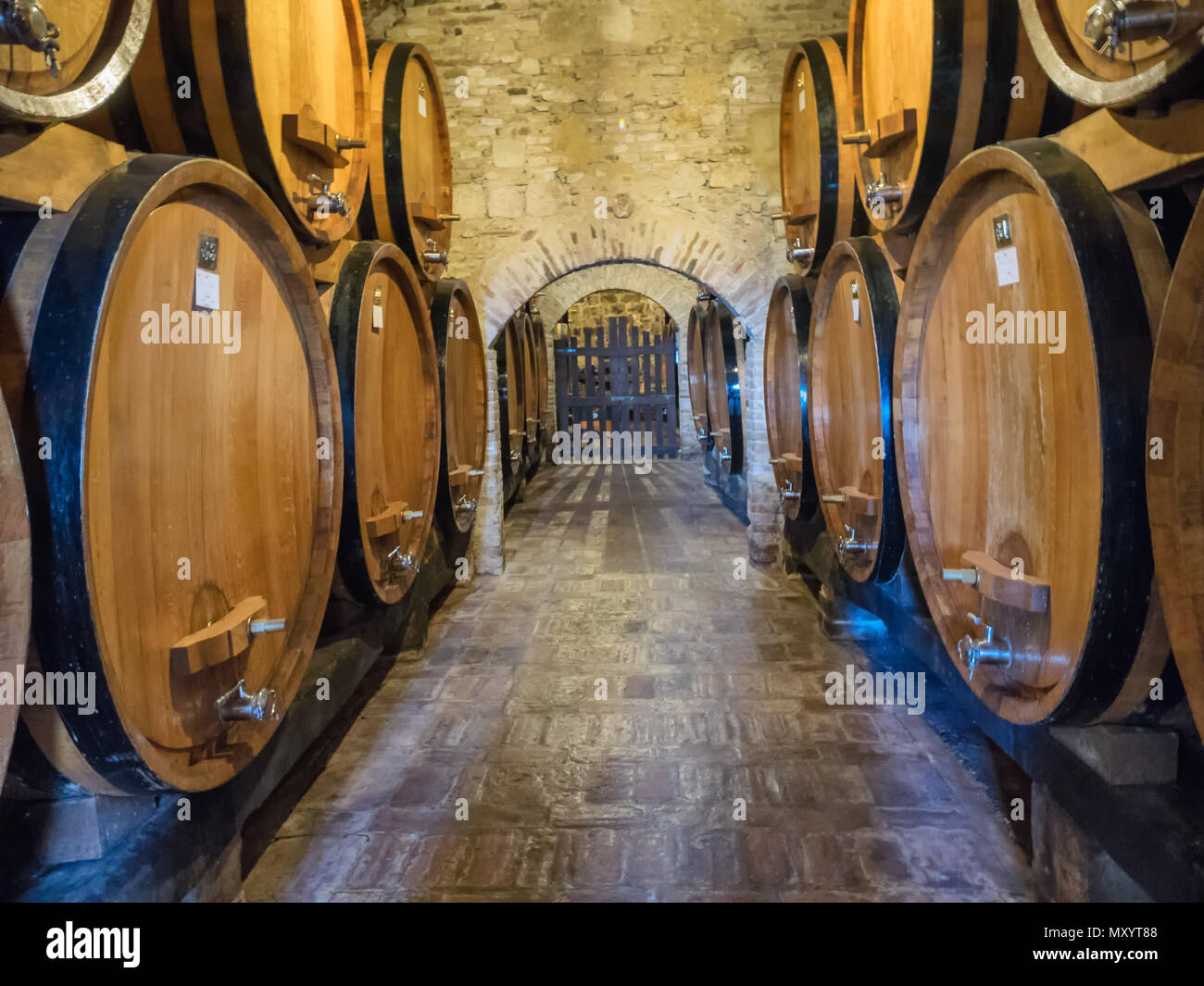 Di barili per la vinificazione in Toscana, Italia Foto Stock