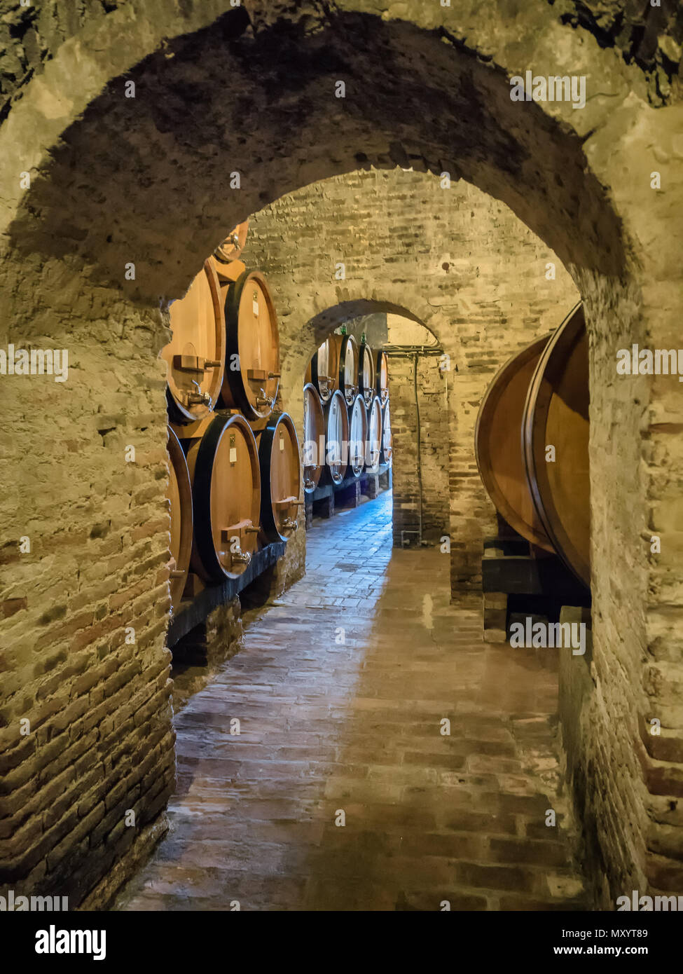Di barili per la vinificazione in Toscana, Italia Foto Stock