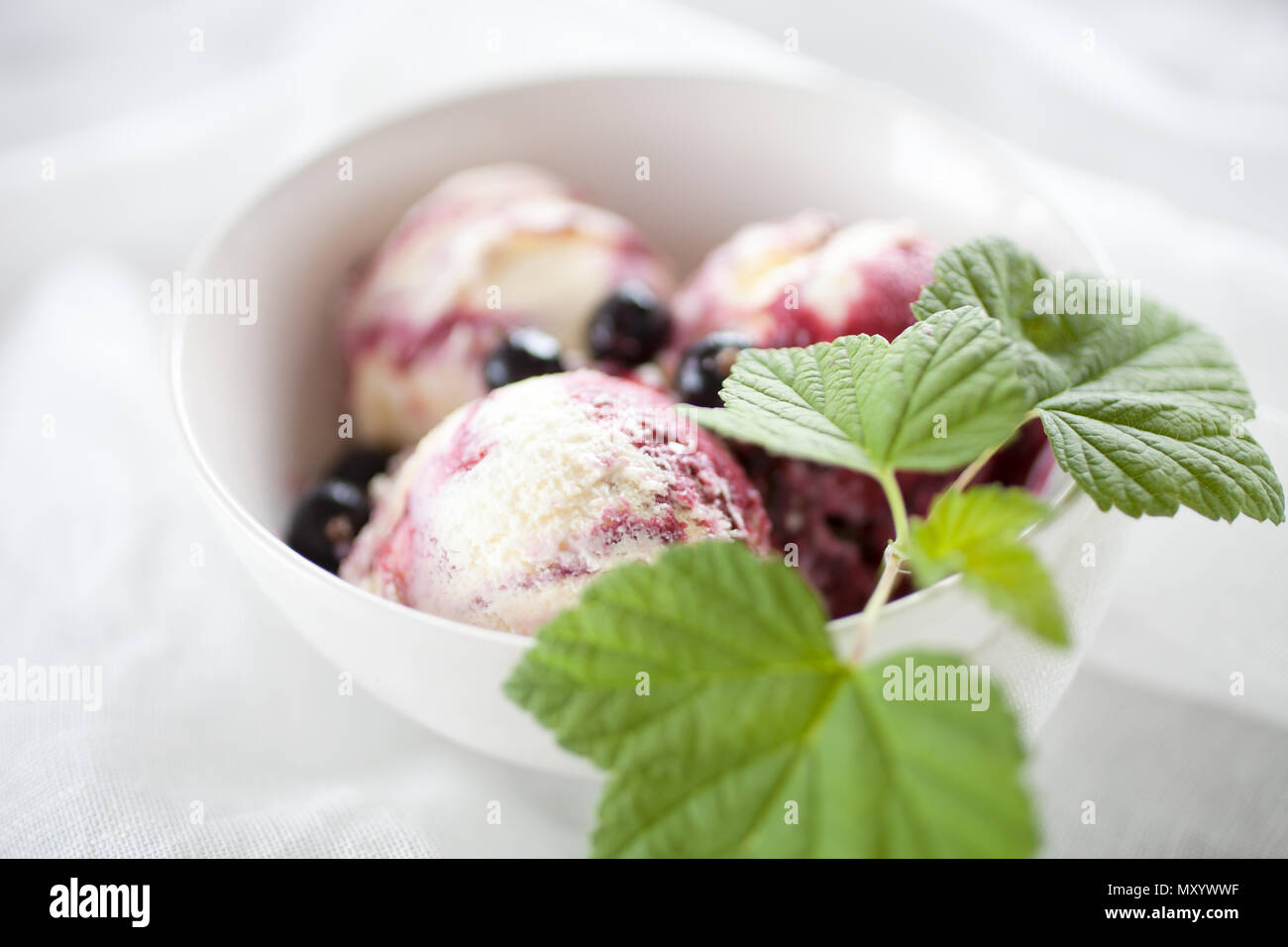 Il ribes gelato con yogurt e ribes nero Foto Stock