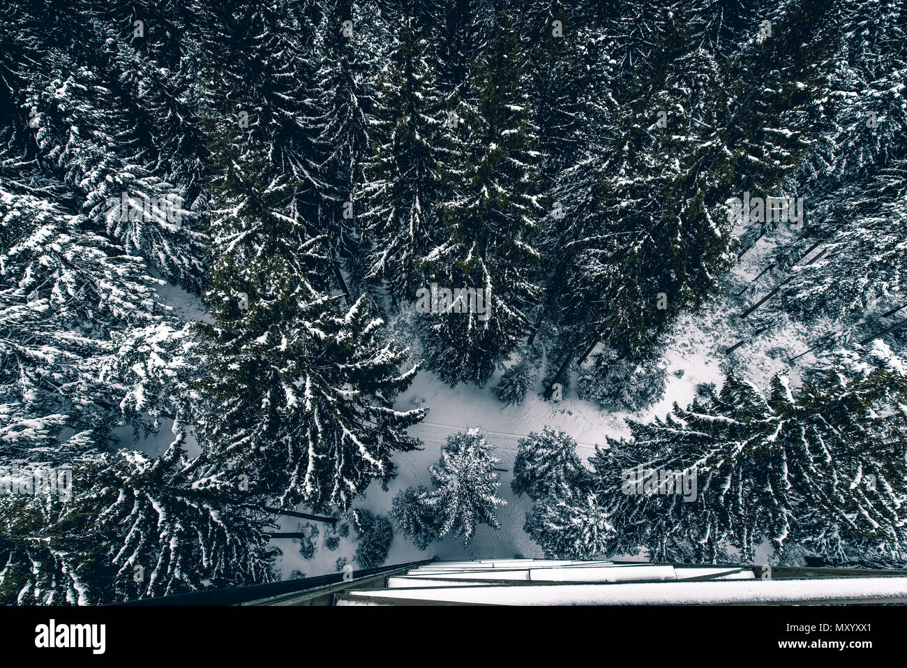 Dal punto di vista dei Chuderhüsi nella Emmental durante il periodo invernale Foto Stock