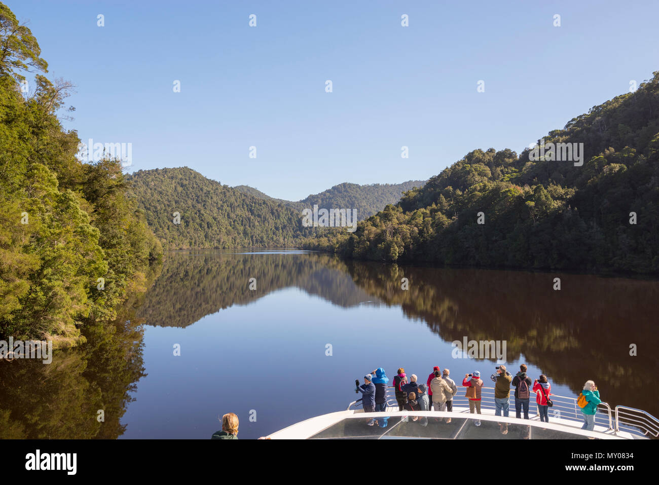 Alberi riflessa nel fiume Gordon, costa Ovest della Tasmania Foto Stock