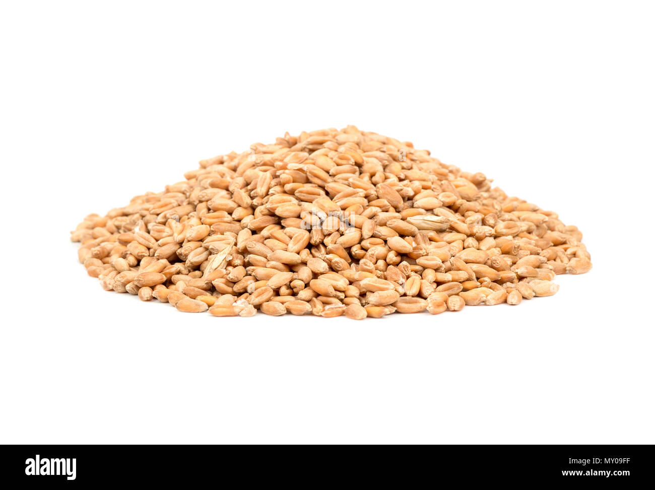 Pila di grano isolato su sfondo bianco Foto Stock
