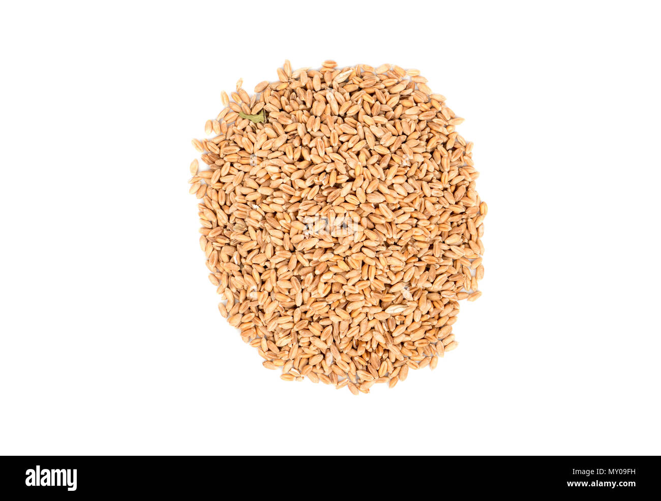 Pila di grano isolato su sfondo bianco, vista dall'alto Foto Stock