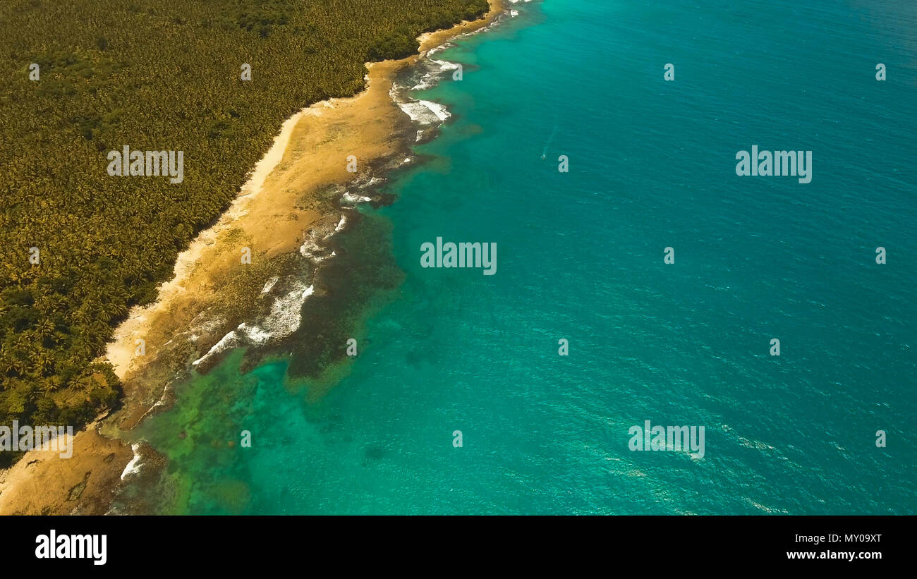 Vista aerea della spiaggia tropicale sull'isola Siargao, Filippine. Bellissima isola tropicale con spiaggia di sabbia, palme. Paesaggio tropicale: spiaggia con palme. Seascape: oceano e cielo, mare . Filippine. Foto Stock