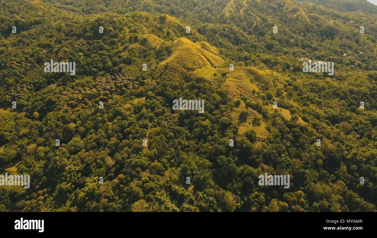 La foresta pluviale, giungla ricoperti di vegetazione verde e alberi sull'isola tropicale, paesaggio. Vista aerea: montagne e colline con bosco selvatico. Collina nella foresta pluviale e jungle. Filippine, Siargao. Foto Stock