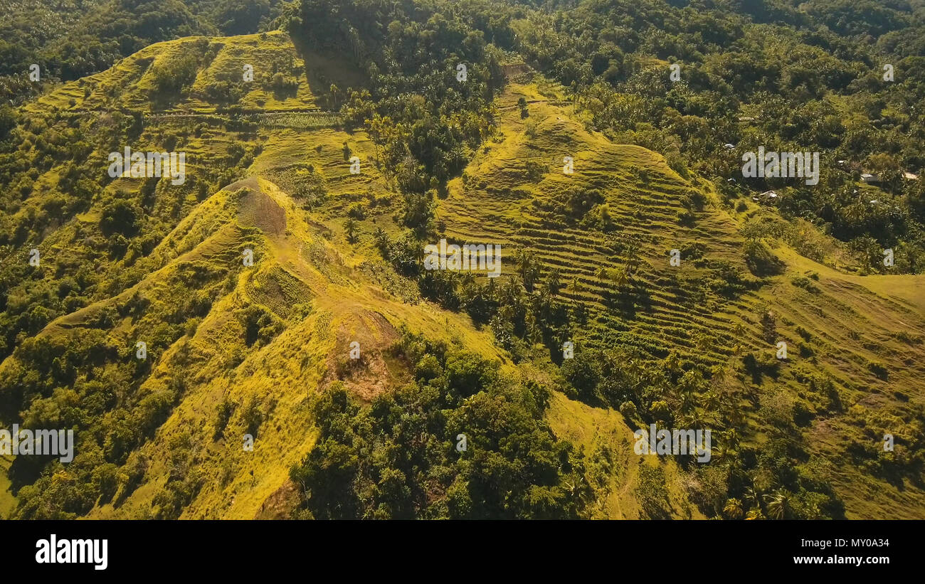 La foresta pluviale, giungla ricoperti di vegetazione verde e alberi sull'isola tropicale, paesaggio. Vista aerea: montagne e colline con bosco selvatico. Collina nella foresta pluviale e jungle. Filippine, Siargao. Foto Stock