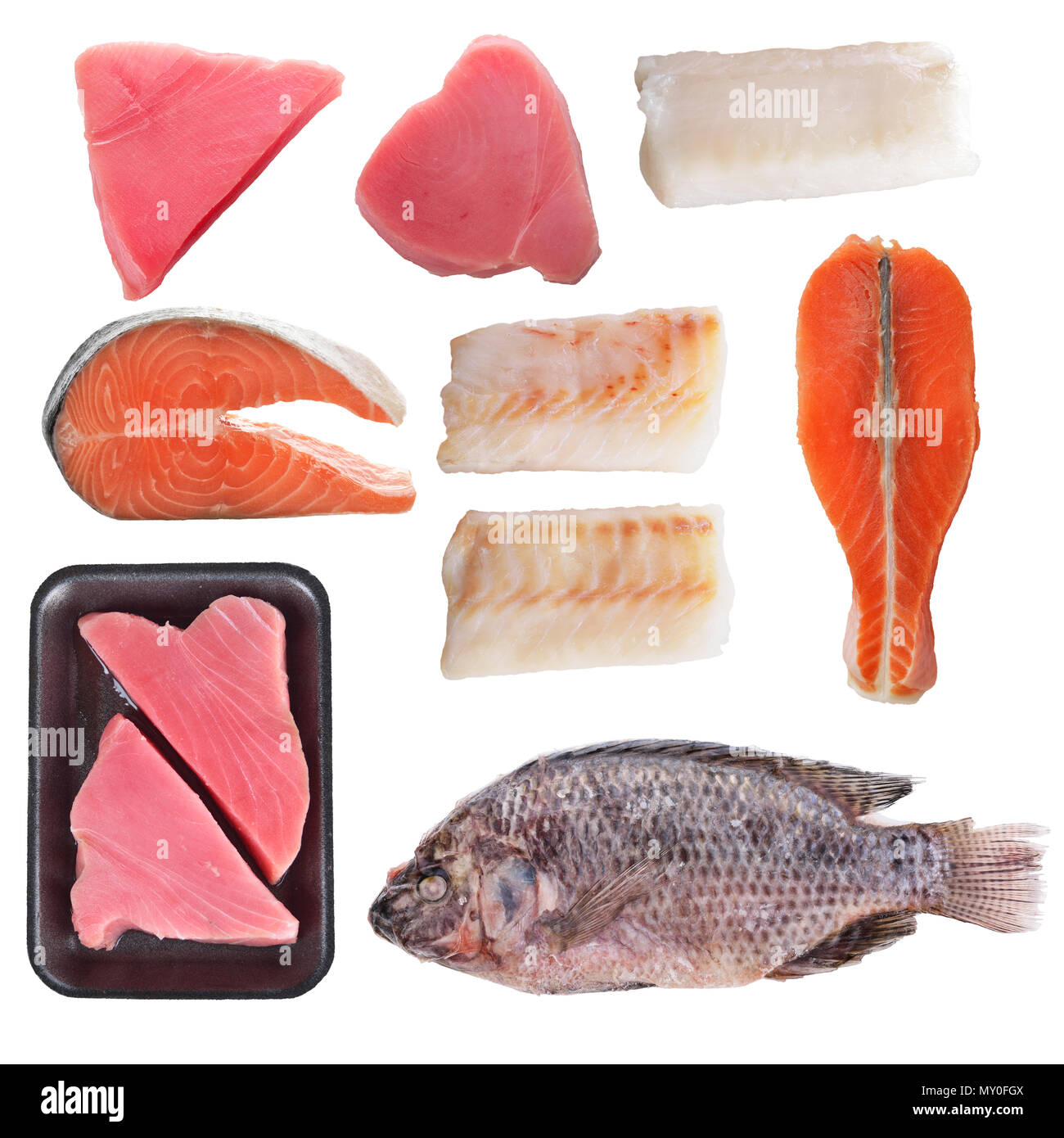 Varietà di pesce isolato su sfondo bianco Foto Stock