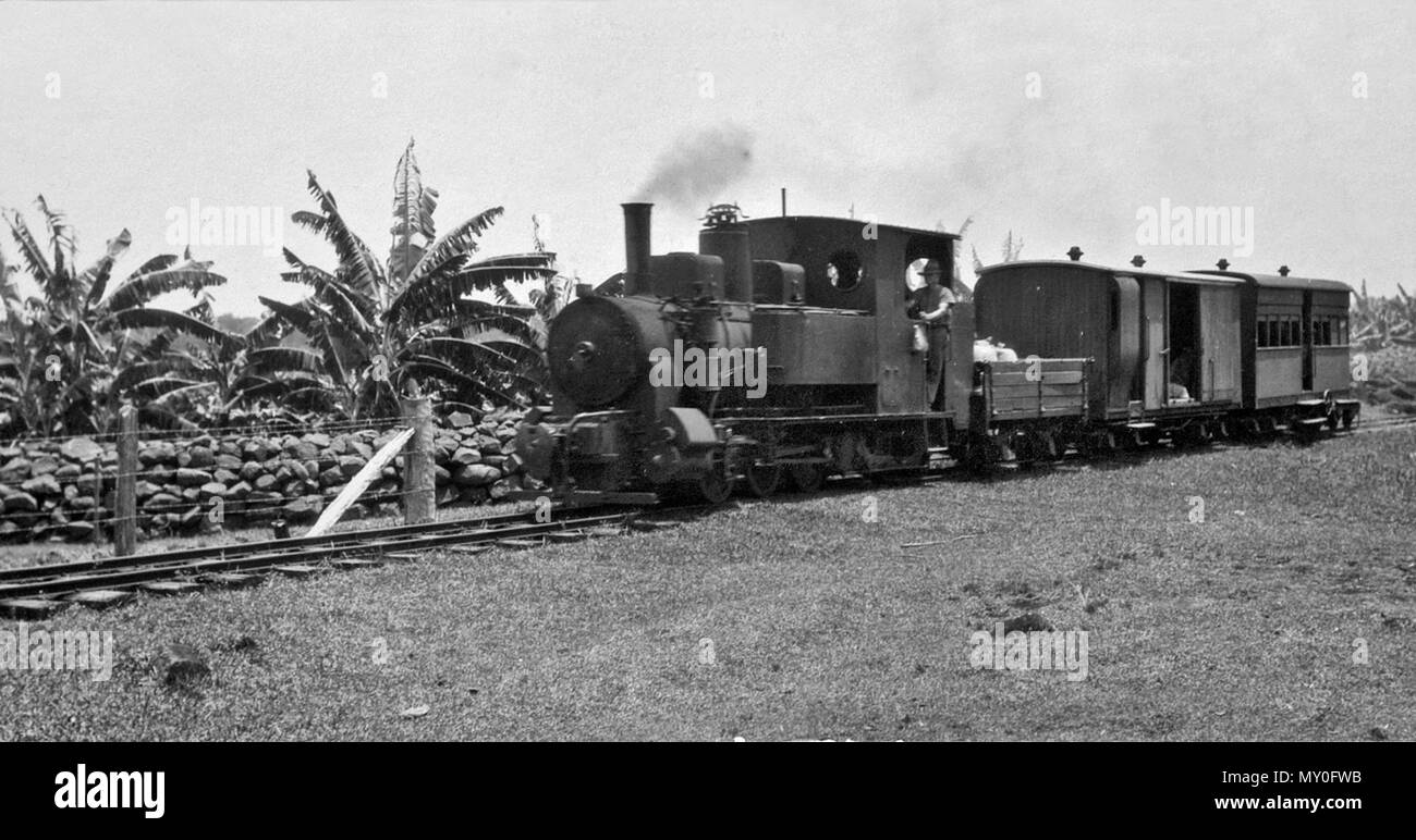 Tram, Buderim montagna, 1931. Il Palmwoods-Buderim tramvia era un industriale privato sul tram Queensland Sunshine Coast. La lunghezza della linea era di sette miglia, quindici catene (11,5 km), che ha funzionato da il Governo del Queensland stazione Ferroviaria a Palmwoods, attraverso ondulata di paese a Forest Glen sull'Autostrada di Bruce e poi salì sulla cima di Buderim 'montagna'. Maroochy Shire Council ha istituito un comitato nel 1903 per prendere in considerazione la possibilità di una linea tramviaria a Buderim. Un ordine in Consiglio per la costruzione della linea è stato concesso nel 1911 e aperto per il business di 1 Decemb Foto Stock