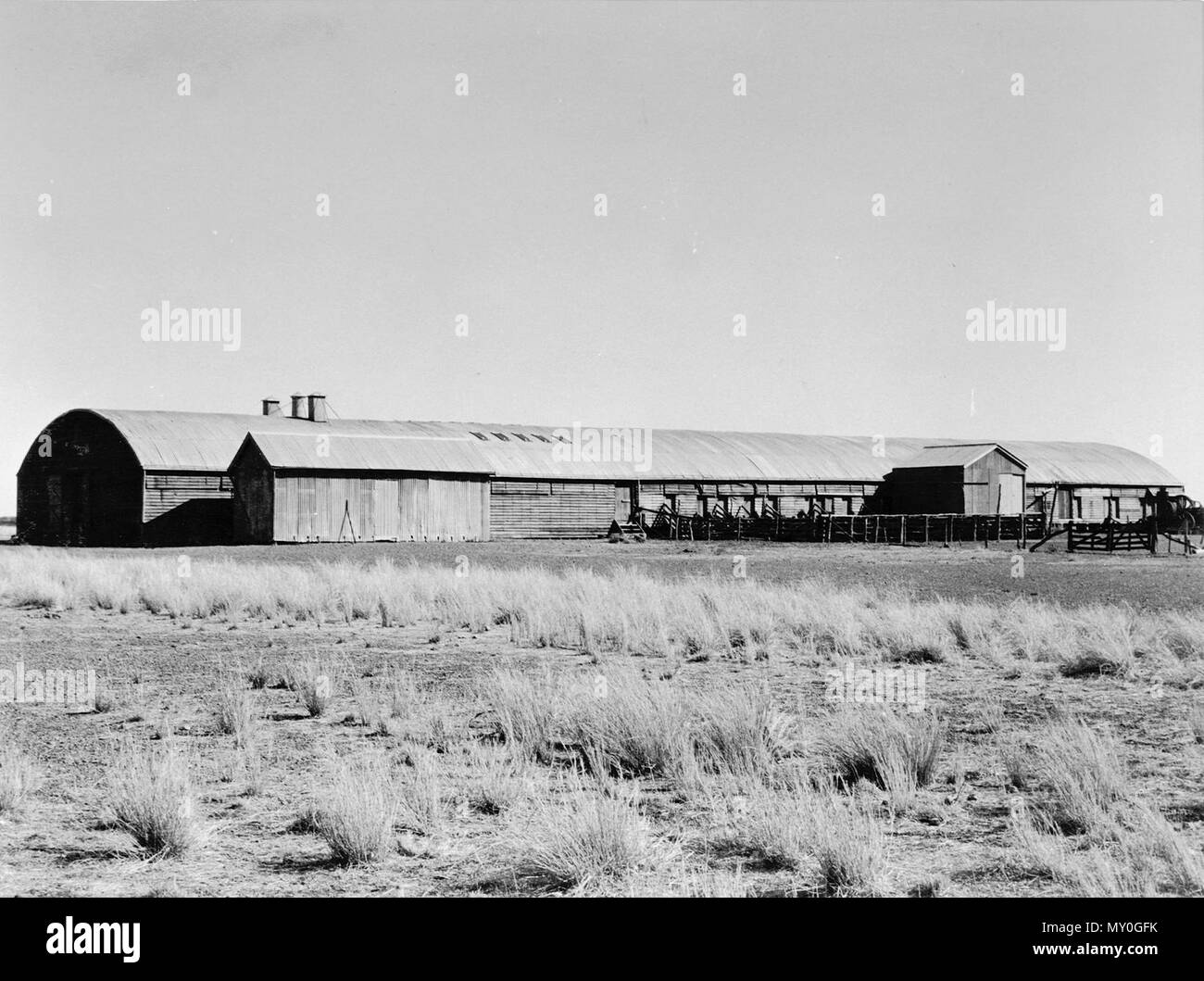 Woolshed costruito nel 1887, Afton Downs, 1952. Afton Downs è sulle sponde del torrente Stazione del Queensland centrale, 27km da Hughenden e 1160km da Brisbane. Foto Stock