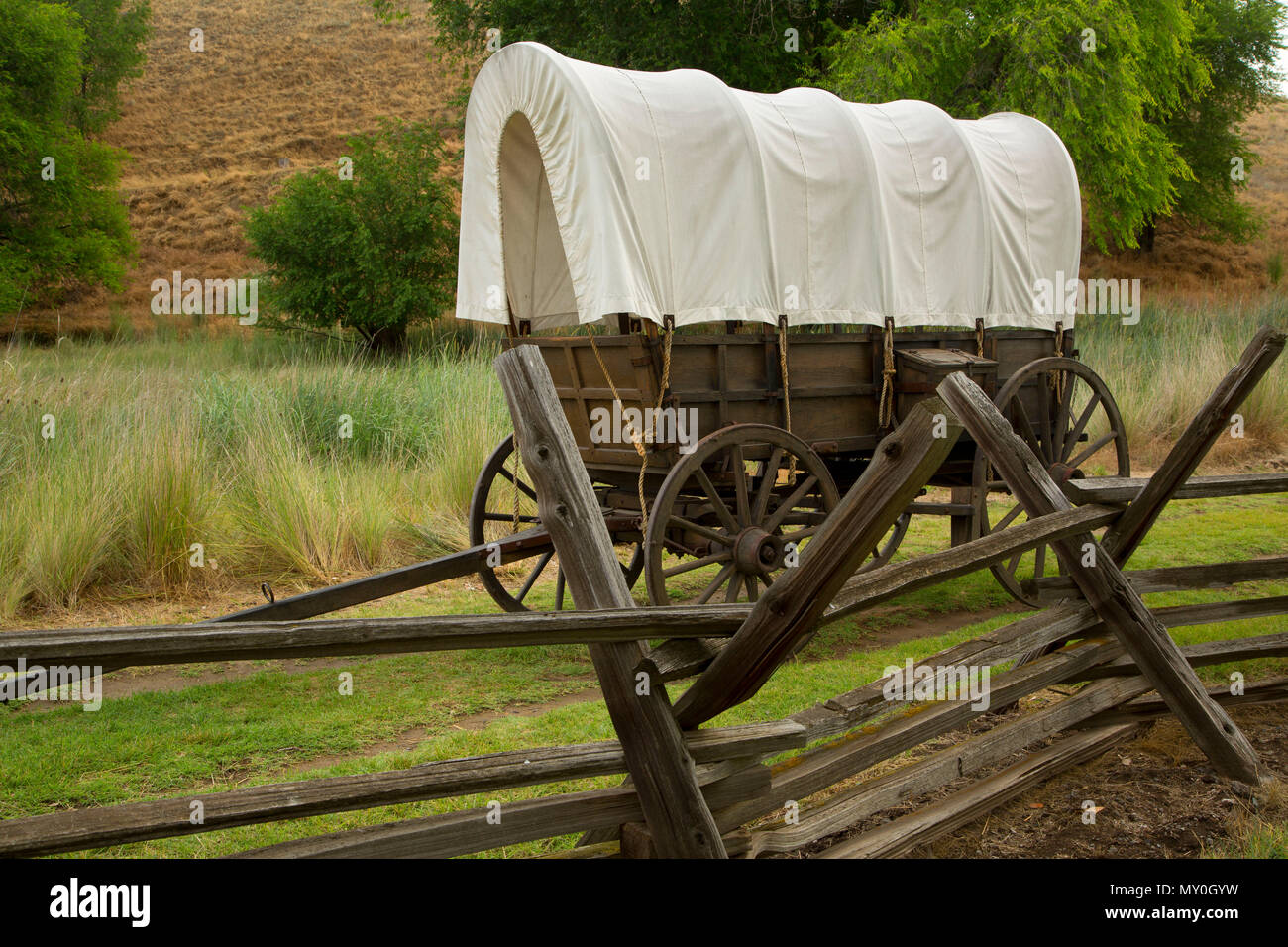 Il carro coperto a due assi lungo Oregon Trail, Whitman mission Sito Storico Nazionale, Washington Foto Stock