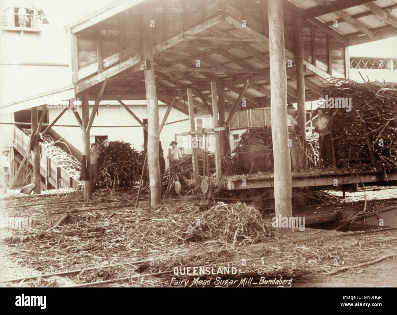 Fairy Mead mulino per lo zucchero, Bundaberg, c 1896. Fairymead mulino per lo zucchero è stata fondata nel 1880 e chiuso nel 2005. Foto Stock