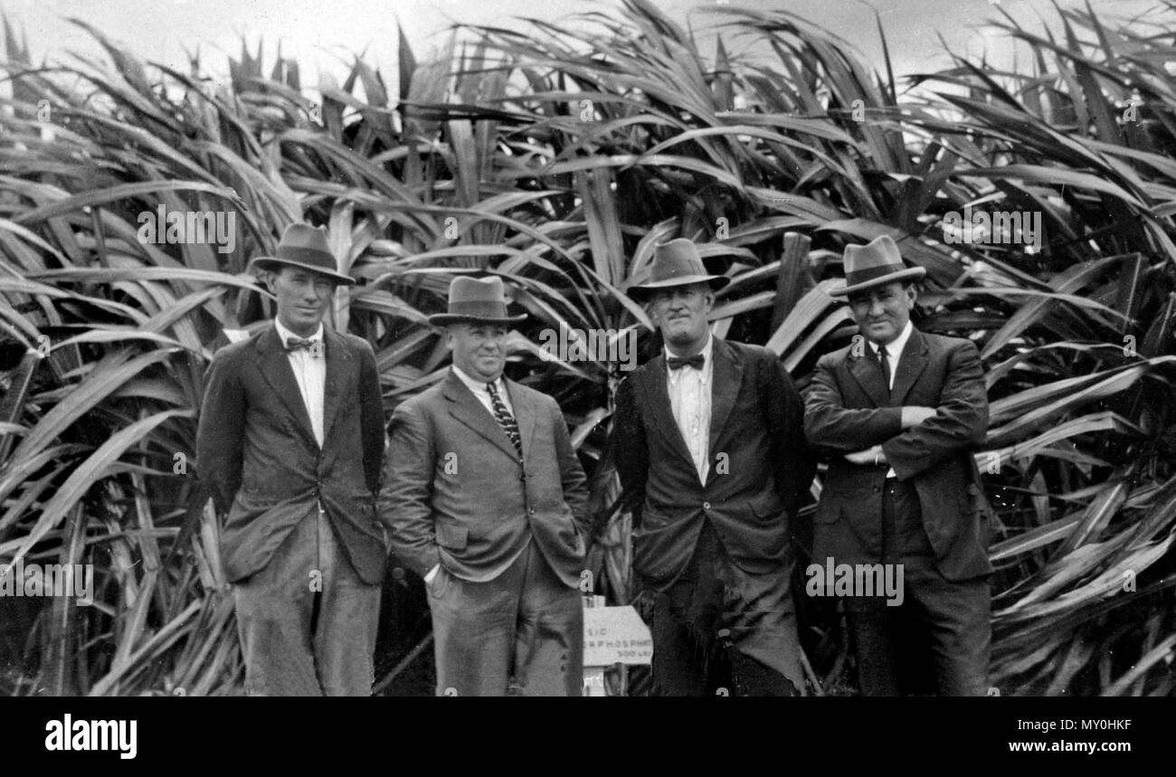 Campo giorno, Innisfail, 1926. Il Daily Mail 2 luglio 1926 SOUTH JOHNSTONE ZUCCHERO 220654265 ) INNISFAIL, giovedì. - Il quarto campo annuale giornata si è svolta oggi a sud di zucchero a Johnstone stazione di esperimento. Il sig. H. T. Easterby, Direttore di zucchero di stazioni di esperimento, fornito un indirizzo, soprattutto a trattare con l'applicazione di fertilizzanti per la canna da zucchero cultura e illustrando il suo commento mostrando i risultati di vari esperimenti effettuati alla stazione. Il sig. Edmond Jarvis, governo entomologo, attaccato alla meringa stazione entomologica, consegnato anche un indirizzo. Foto Stock Campo giorno, Innisfail, 1926. Il Daily Mail 2 luglio 1926 SOUTH JOHNSTONE ZUCCHERO 220654265 ) INNISFAIL, giovedì. - Il quarto campo annuale giornata si è svolta oggi a sud di zucchero a Johnstone stazione di esperimento. Il sig. H. T. Easterby, Direttore di zucchero di stazioni di esperimento, fornito un indirizzo, soprattutto a trattare con l'applicazione di fertilizzanti per la canna da zucchero cultura e illustrando il suo commento mostrando i risultati di vari esperimenti effettuati alla stazione. Il sig. Edmond Jarvis, governo entomologo, attaccato alla meringa stazione entomologica, consegnato anche un indirizzo. Foto Stock