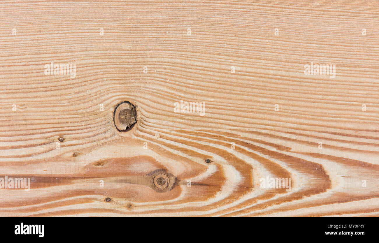 Legno - Larice - naturale texture di legno Foto Stock