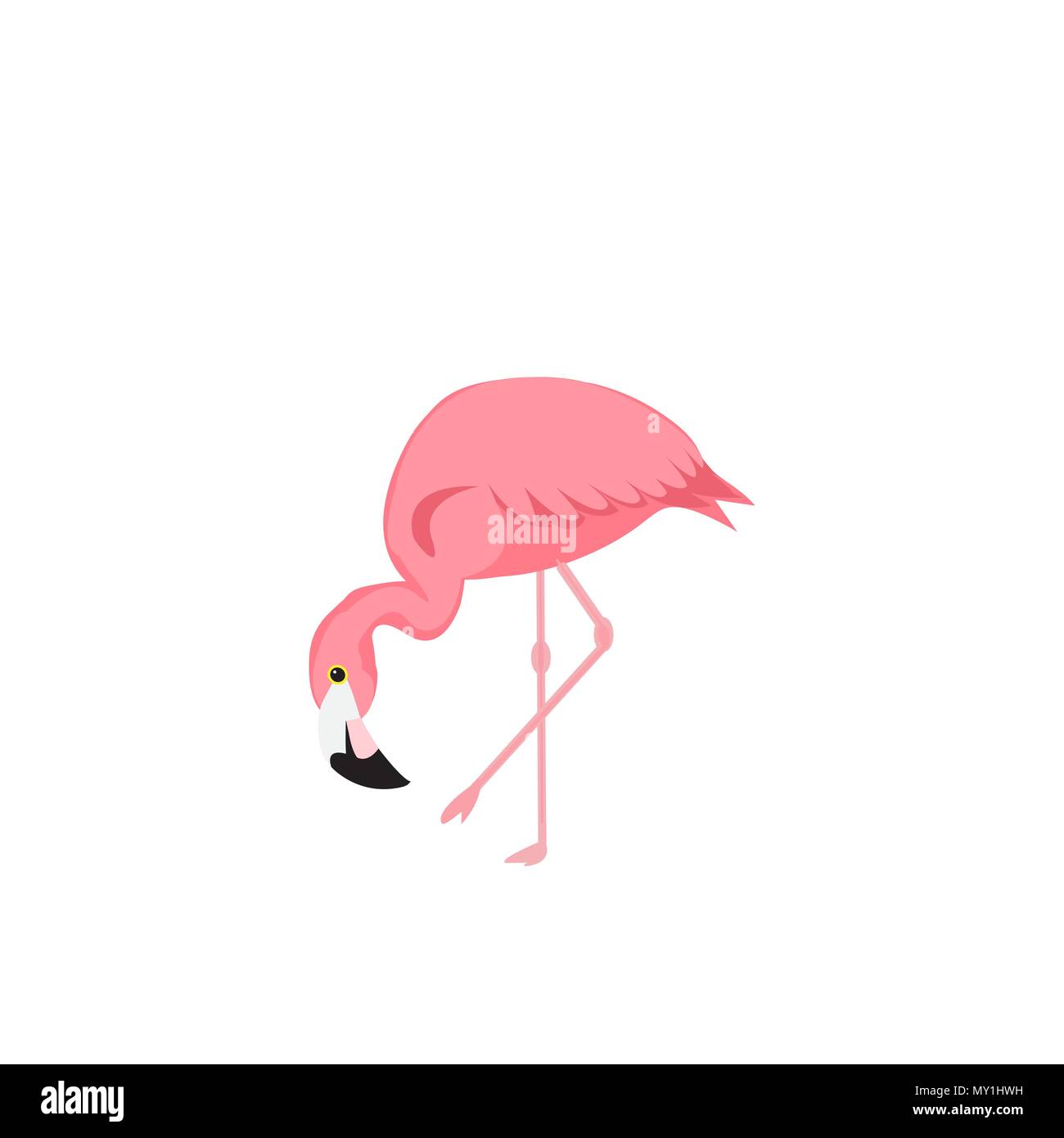 Flamingo bird illustration design su sfondo. illustrazione vettoriale EPS10 Illustrazione Vettoriale