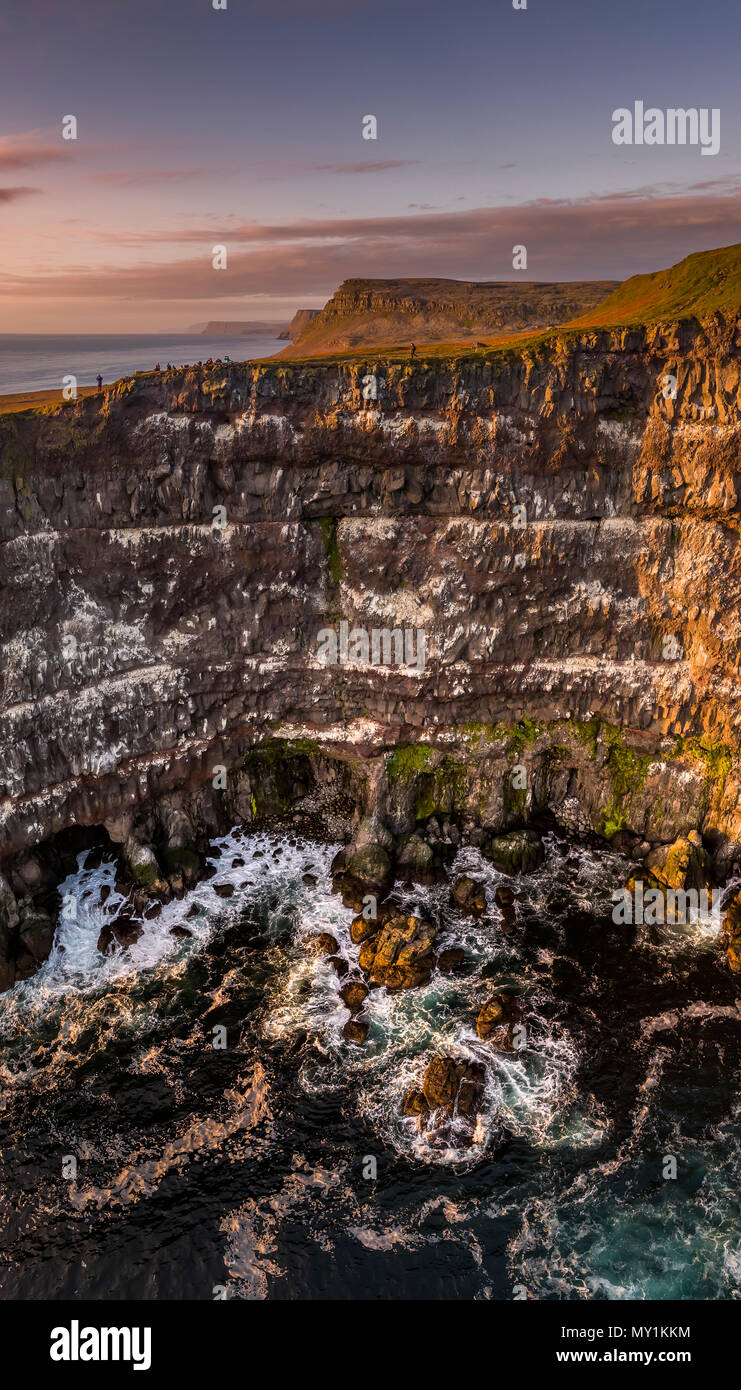 Scogliere Latrabjarg, West fiordi, Islanda Foto Stock