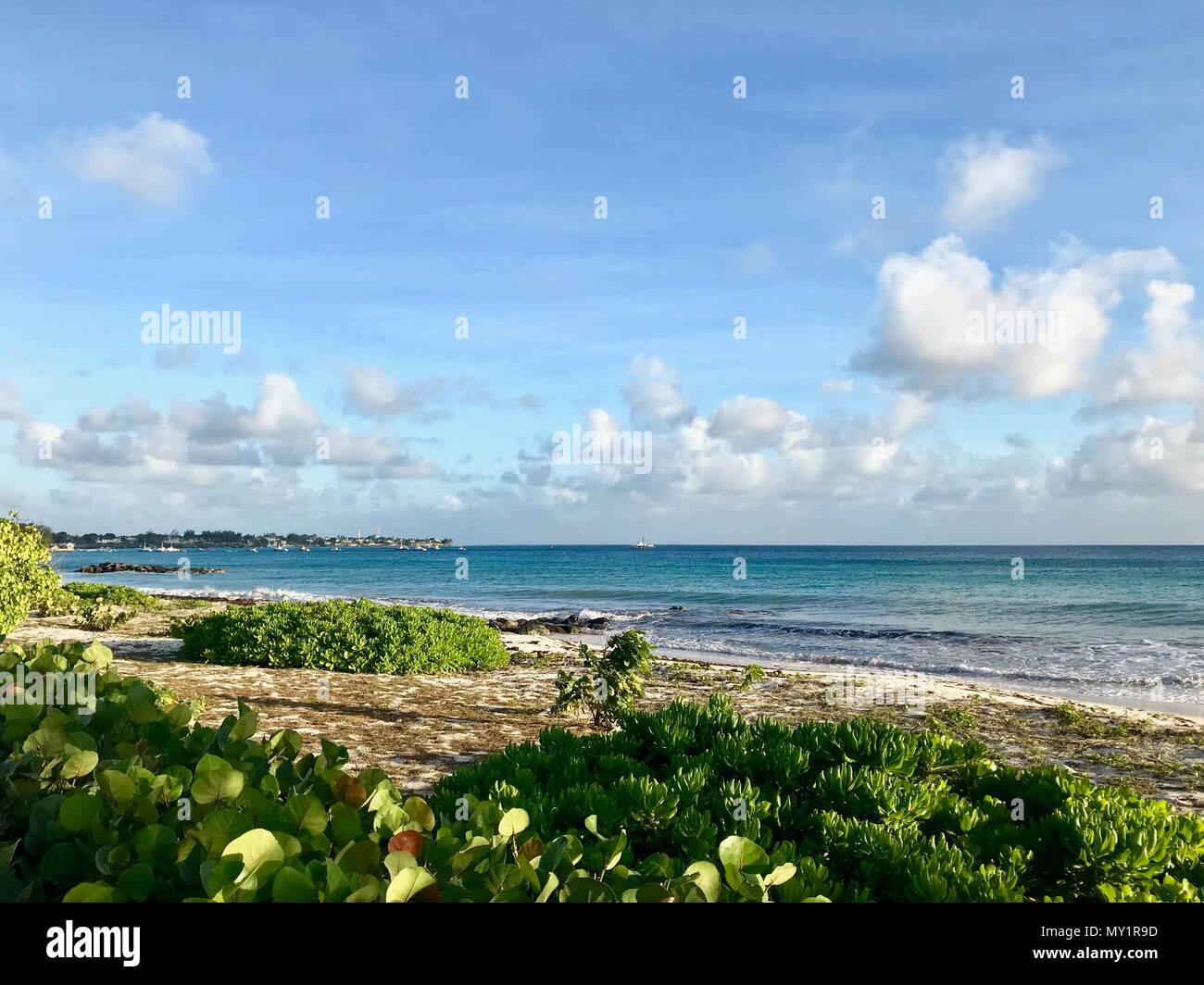 Idilliaco Welches bella spiaggia di Oistins sull'isola caraibica di Barbados con vegetazione lussureggiante, sabbia bianca, acque cristalline e un molo Foto Stock