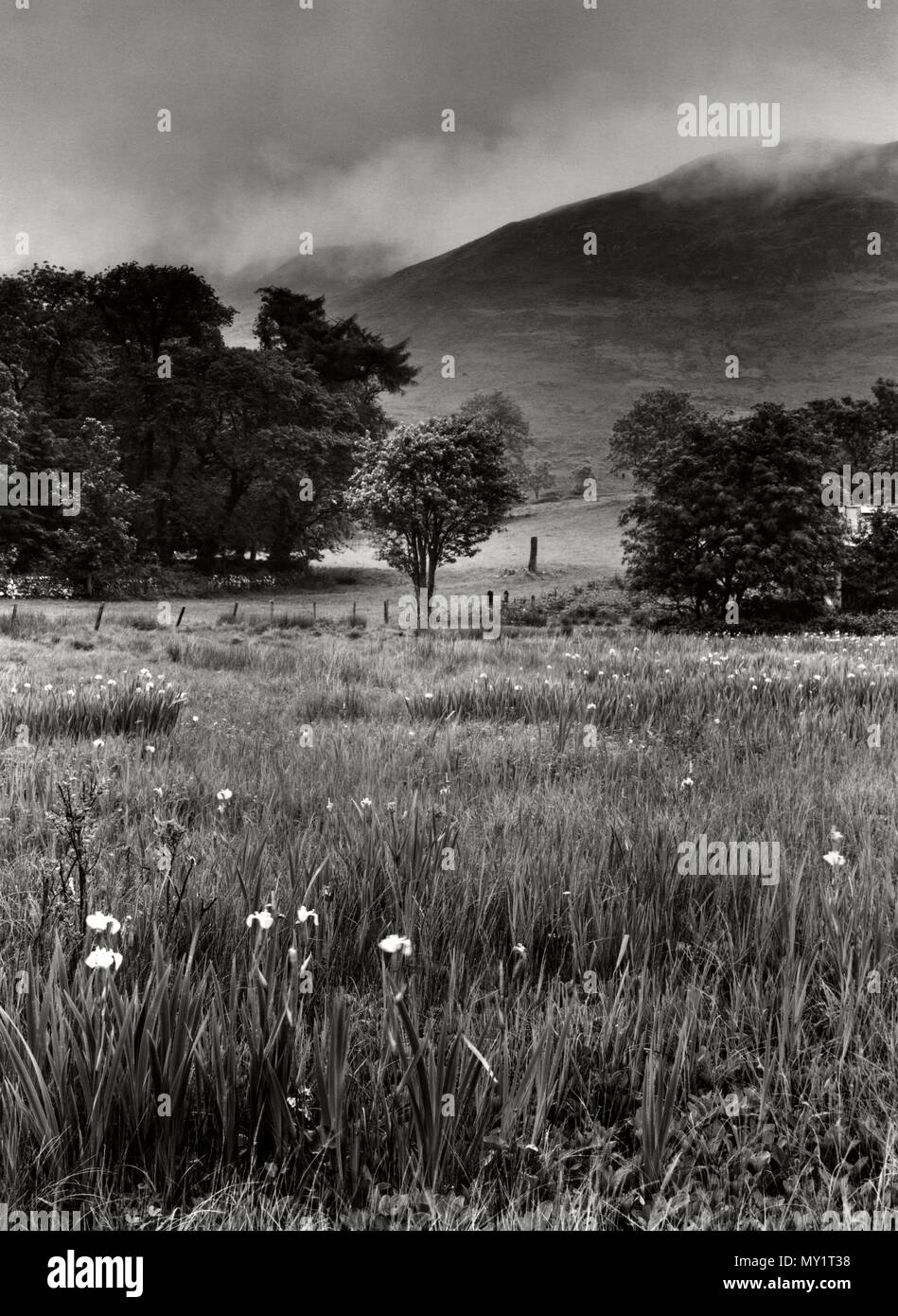 Visualizzare NNE su terreno paludoso di Clach na h-Annait pietra permanente, Kilbride, Isola di Skye, UK, con il misty pendici del Beinn Dearg Bheag verso la parte posteriore. Foto Stock