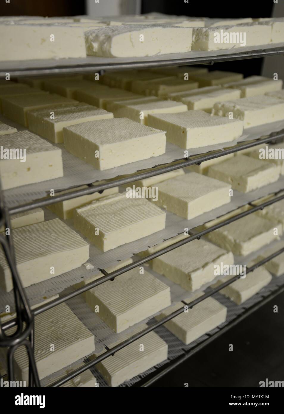 Prodotti lattiero-caseari di pecora Foto di formaggio a pasta morbida 05/01/2016 Foto Stock