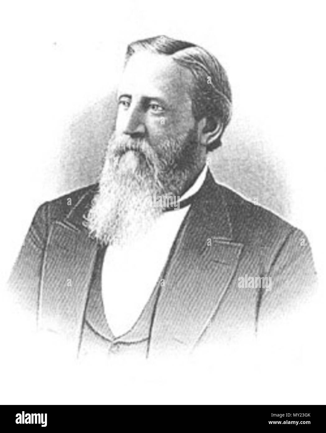 . William Dunlap Simpson (1823-1890), Governatore della Carolina del Sud. circa 1880. Questo file è privo di informazioni sull'autore. 489 William Dunlap Simpson, governatore della Carolina del Sud Foto Stock