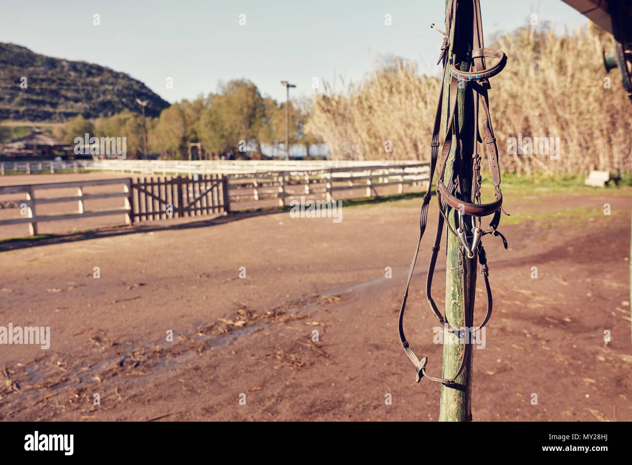 Pelle Vintage briglia di cavallo appesi al palo di legno di un rurale horse farm. Foto Stock