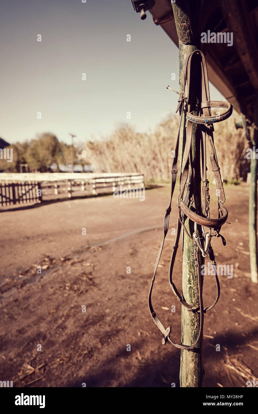 Pelle Vintage briglia di cavallo appesi al palo di legno di un western horse farm. Vista ravvicinata. Foto Stock