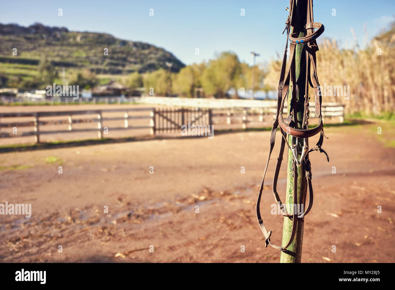 Vintage horse halter appesi al palo di legno di un western horse farm. Vista ravvicinata. Foto Stock