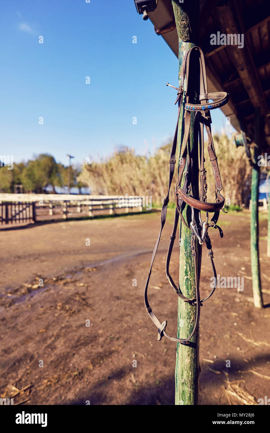 Pelle Vintage horse halter appesi al palo di legno di un western horse farm. Foto Stock