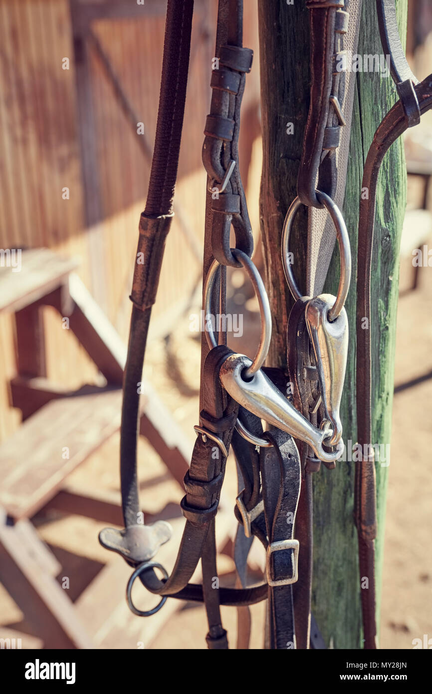 Pelle marrone vintage briglia di cavallo appesi da un palo di legno stabile. Vista ravvicinata. Foto Stock