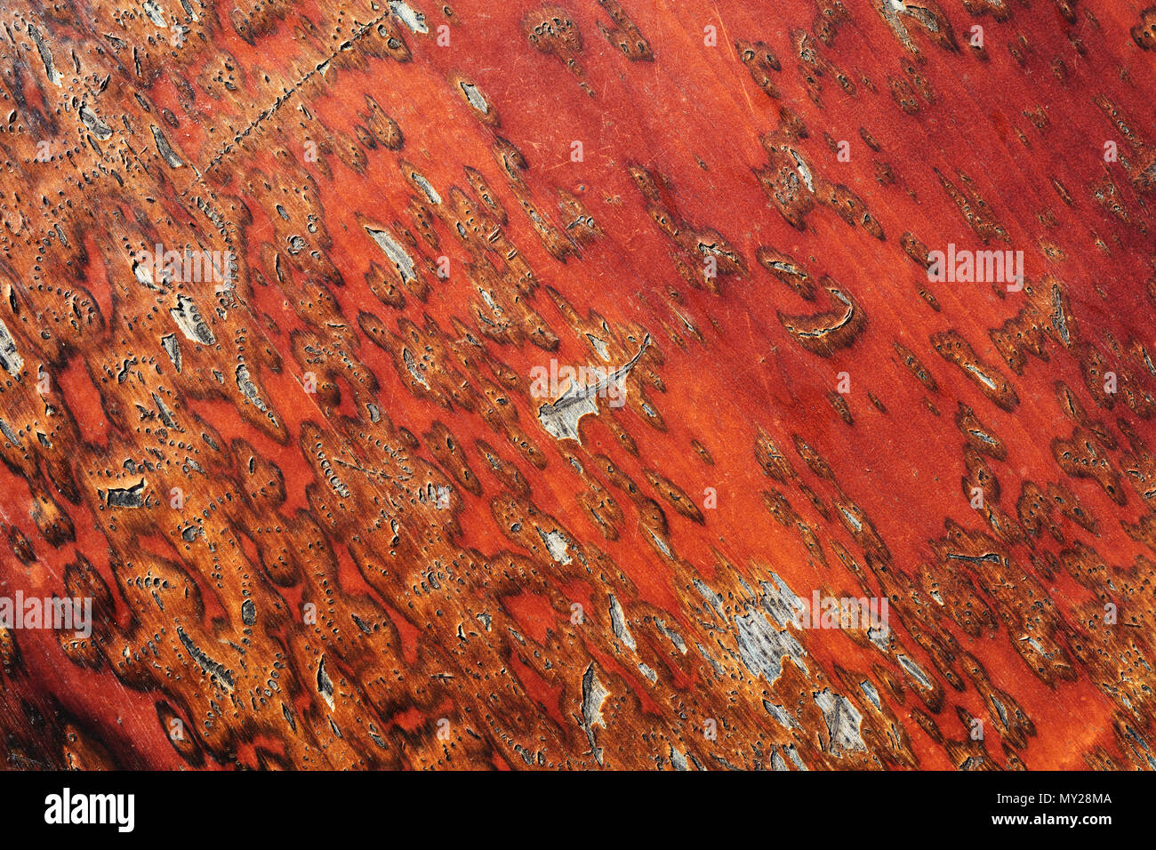 Textured spogliato di colore arancione-rosso di legno colorato sfondo grunge. Foto Stock