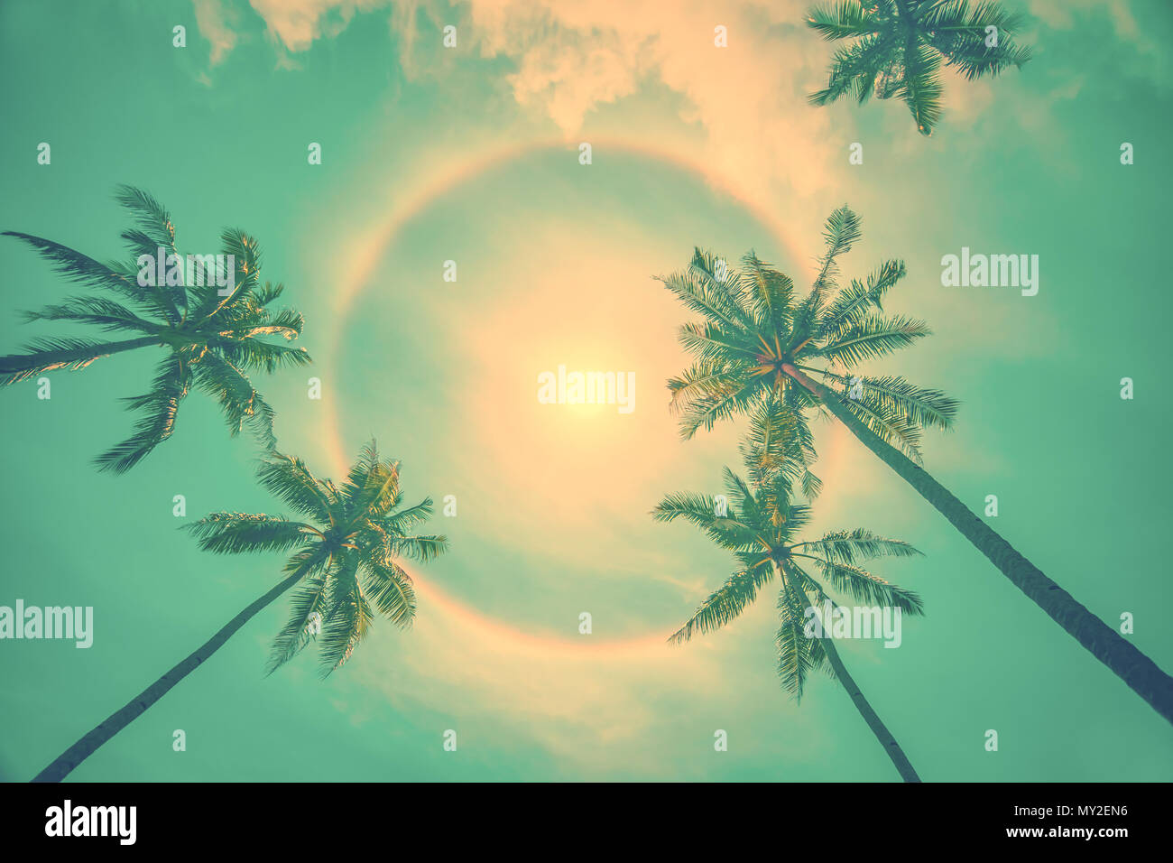 Sun rainbow circolare fenomeno alogeno con palme, vintage estate sfondo Foto Stock