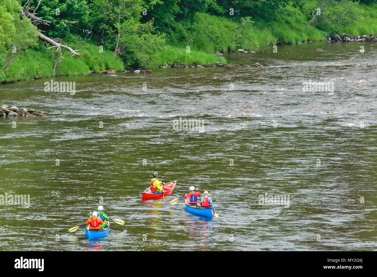 Fiume Spey TAMDHU SCOZIA CANOA KAYAK CANOEIST tre canoe con persone Rubrica giù il fiume Foto Stock