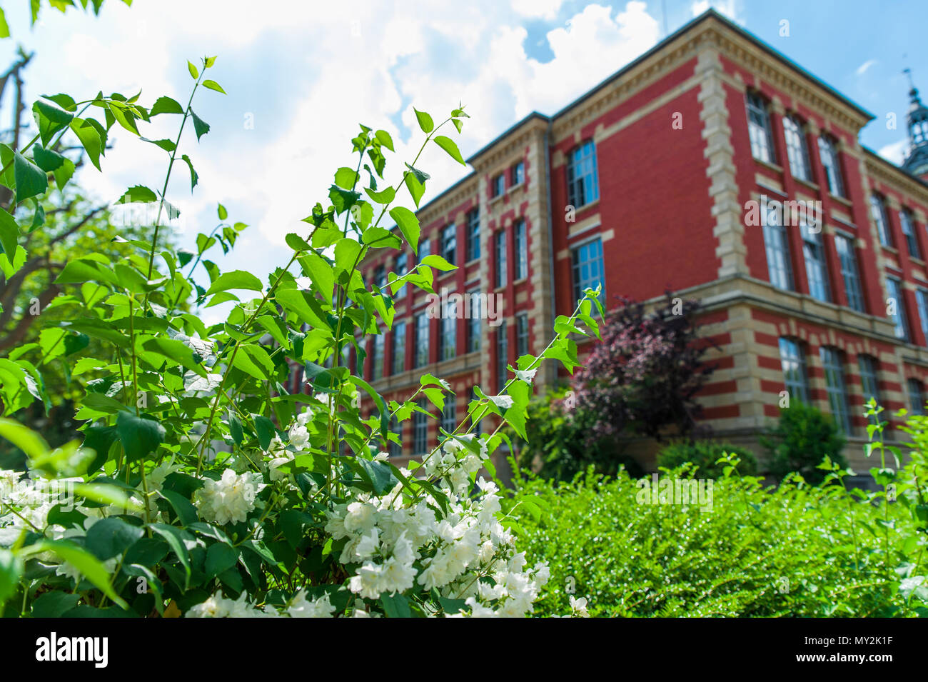 Lycée de Garçons de Luxembourg, Lussemburgo Foto Stock