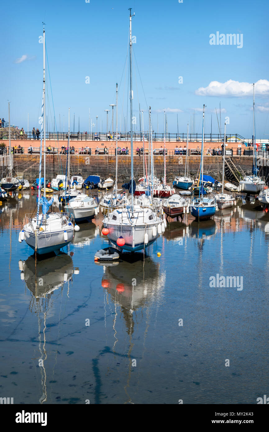Barche a North Berwick Harbour Foto Stock