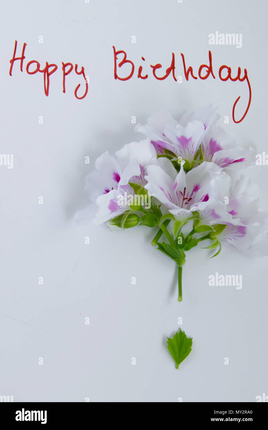 Buon compleanno biglietto di auguri con fiori freschi su sfondo bianco,  spazio per il testo Foto stock - Alamy