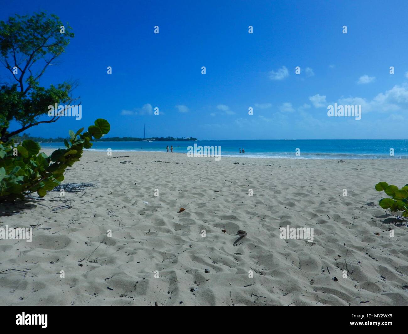 Bellissima spiaggia idilliaca giornata con i turisti facendo una passeggiata nella sabbia, il mare con onde, un albero e un cielo blu con nuvole bianche in Martinica Foto Stock Bellissima spiaggia idilliaca giornata con i turisti facendo una passeggiata nella sabbia, il mare con onde, un albero e un cielo blu con nuvole bianche in Martinica Foto Stock