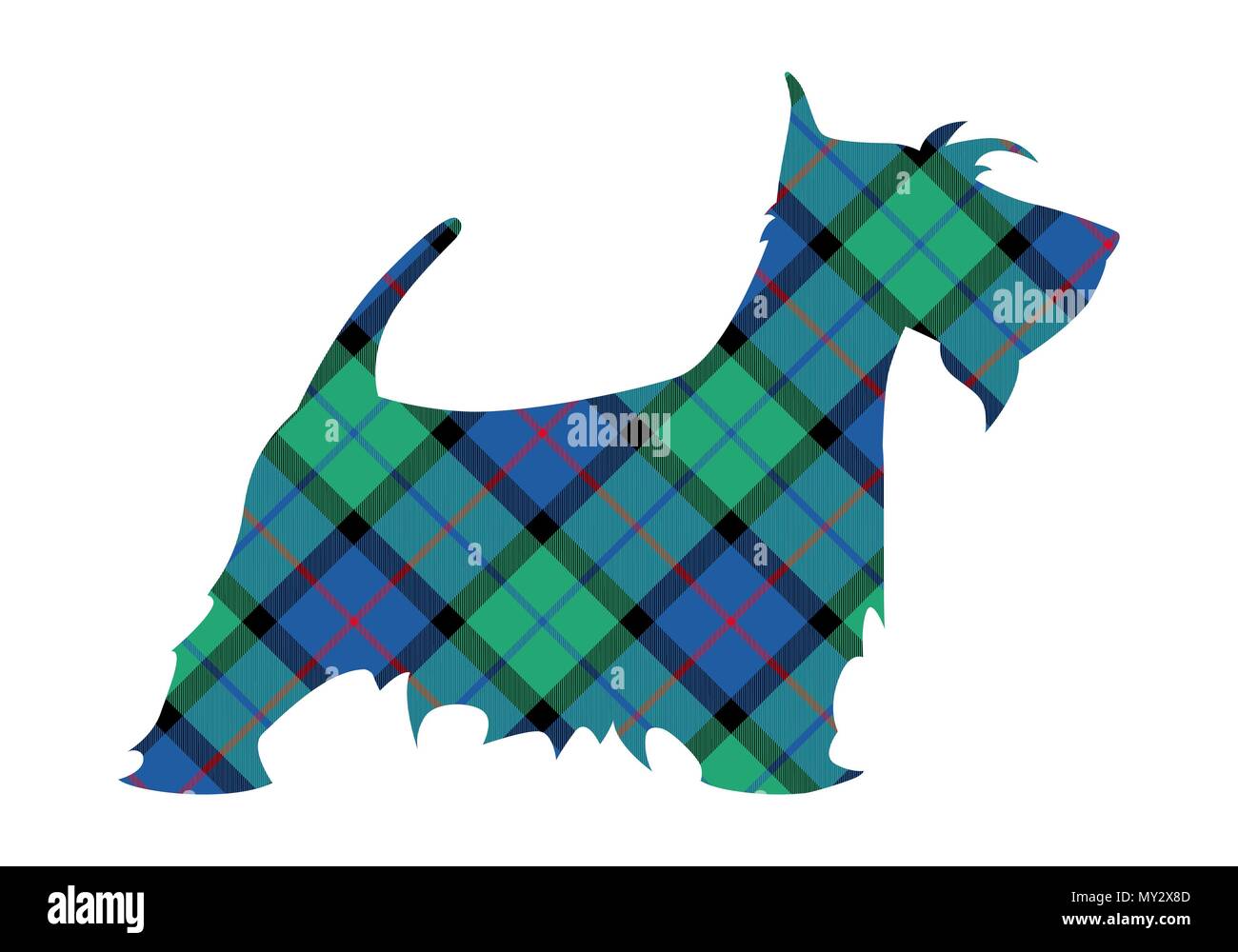 Scotch terrier tartan modello nazionale fiore di Scozia. Illustrazione Vettoriale. Illustrazione Vettoriale