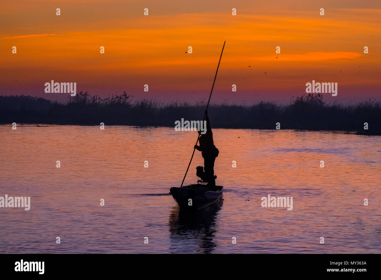 Red lotus sea è la più famosa attrazione di Udonthani, situato nella provincia nordorientale della Thailandia. Foto Stock