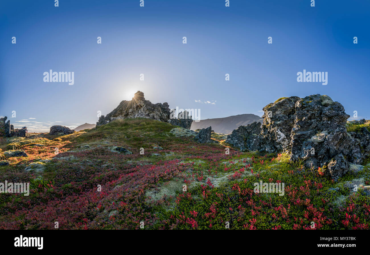 Lava e moss in autunno, Snaefellsnes Peninsula, Islanda Foto Stock