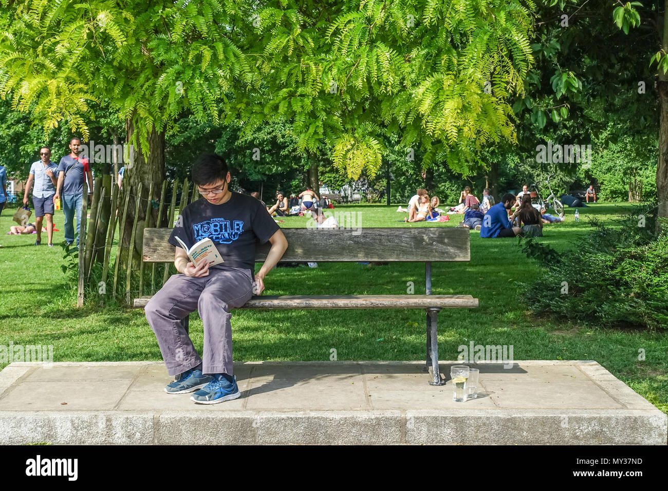 Un giovane maschio adulto si siede su una panchina nel parco la lettura di un libro su una calda giornata di sole in Furnival giardini, Hammersmith, Londra. Foto Stock