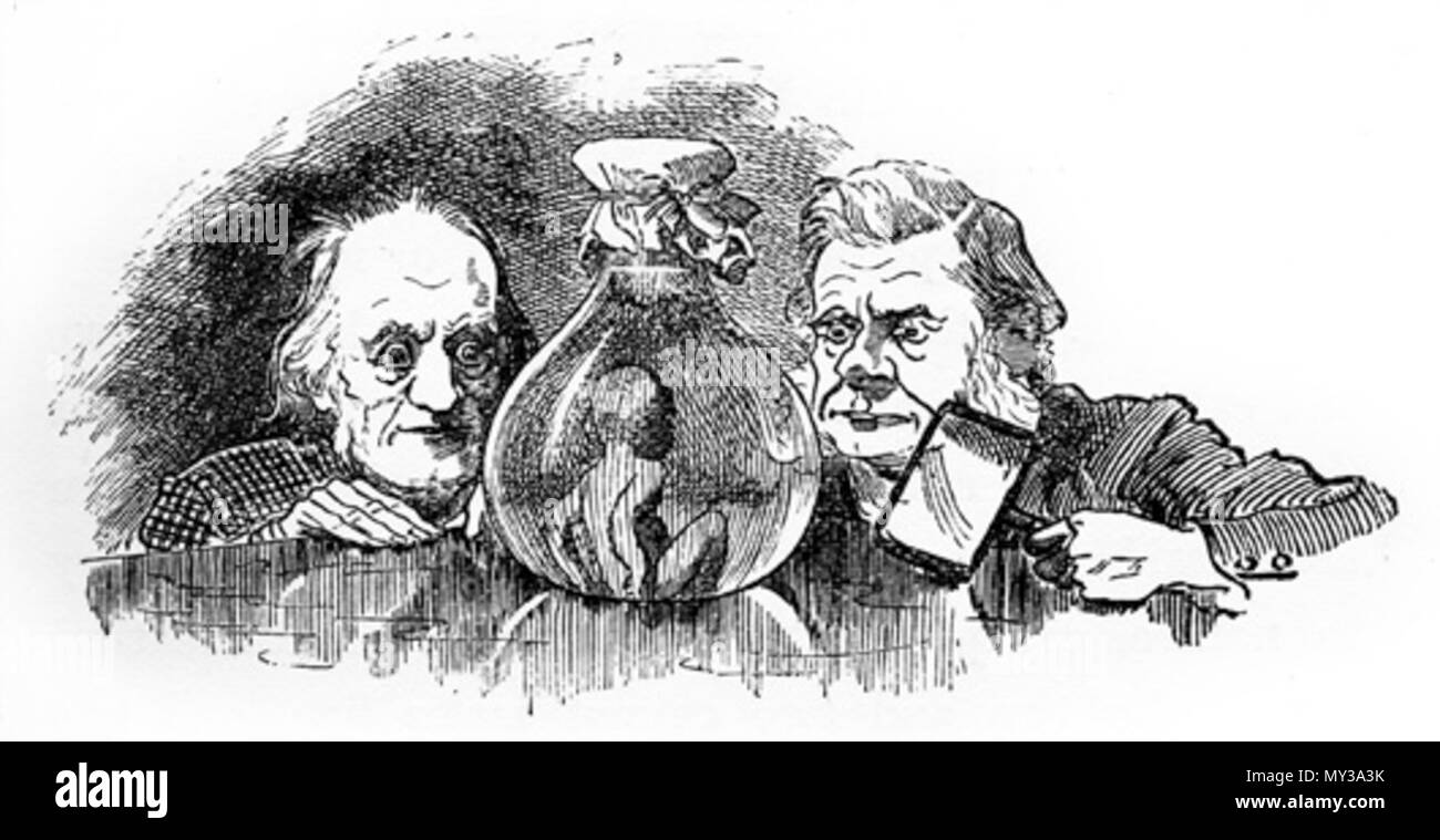 . Inglese: Richard Owen (sinistra) e Thomas Henry Huxley esaminando un acqua-baby . 1885. Linley Sambourne 559 Acqua-bebè 2 Foto Stock