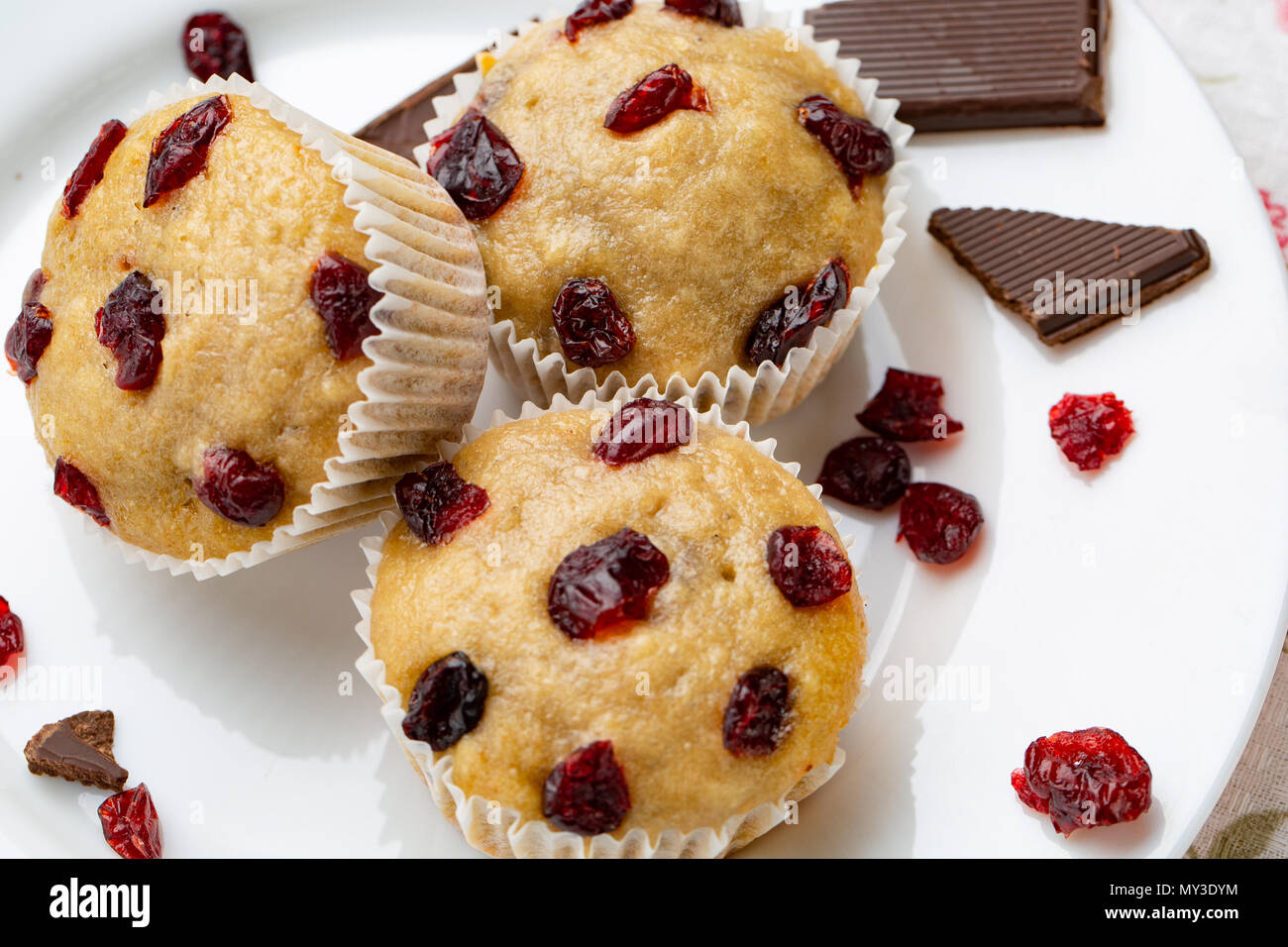 Piatto casereccio vegan muffin di zucca con cioccolato e le ciliegie secche. Prima colazione Foto Stock