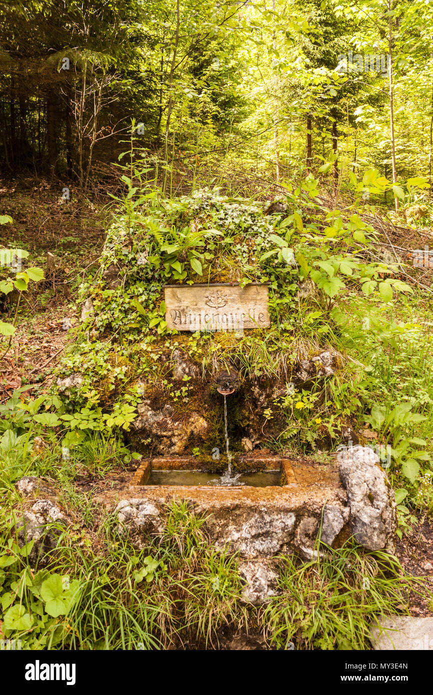 Molla di acqua con pura naturale acqua alpini. Annenquelle.St.Gilgen, Austria Foto Stock