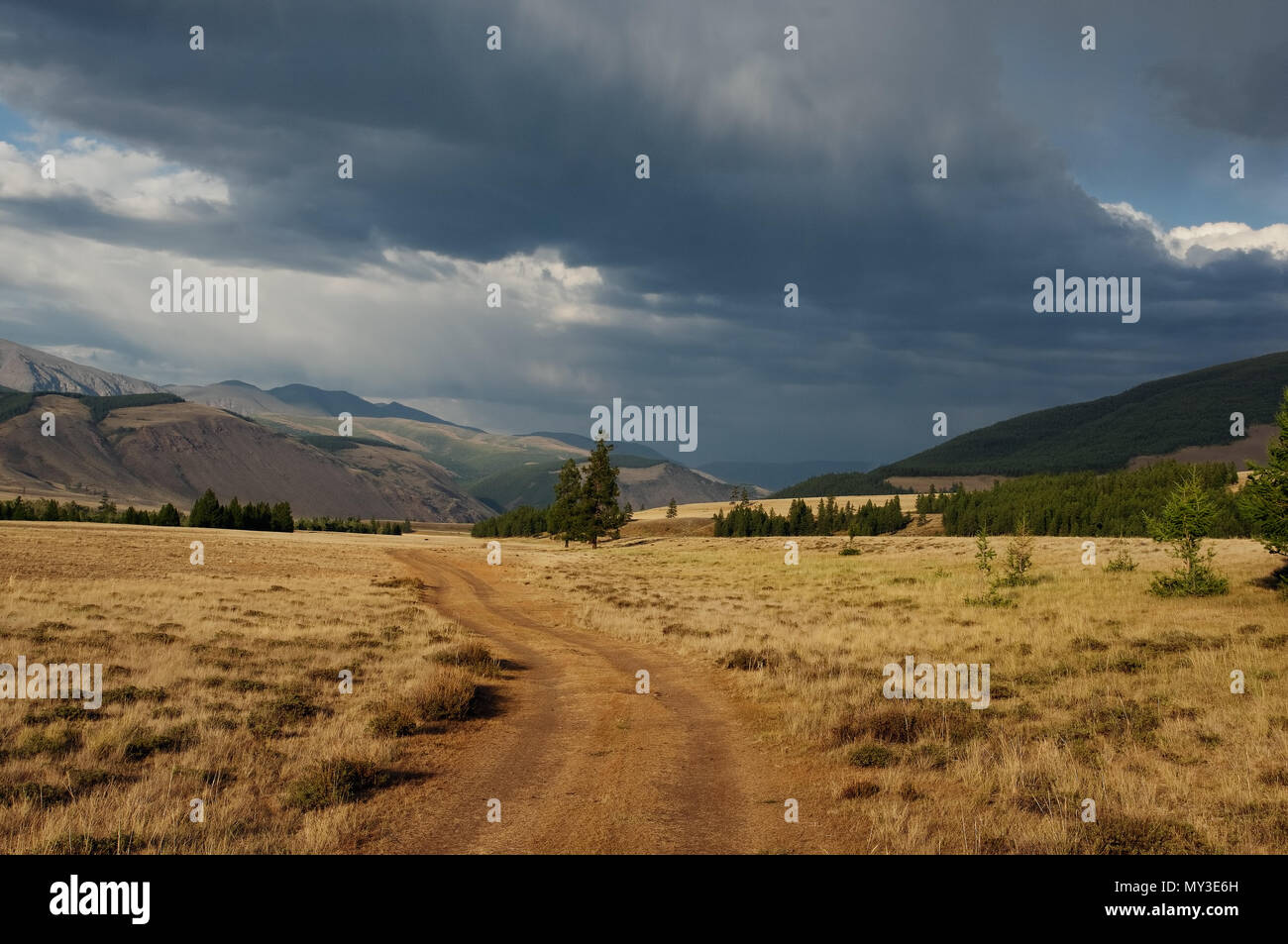 La strada attraverso un deserto secco steppa su un altopiano di montagna altopiano con erba gialla alberi con gamme di colline le rocce su un orizzonte skyline sotto il cielo sto Foto Stock La strada attraverso un deserto secco steppa su un altopiano di montagna altopiano con erba gialla alberi con gamme di colline le rocce su un orizzonte skyline sotto il cielo sto Foto Stock