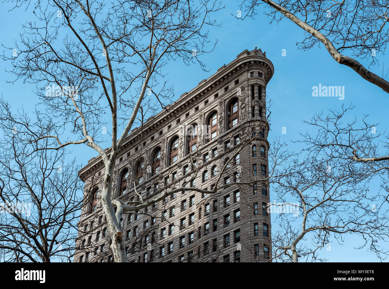 Albero e Flatiron Building, Manhattan, New York City, Stati Uniti d'America Foto Stock