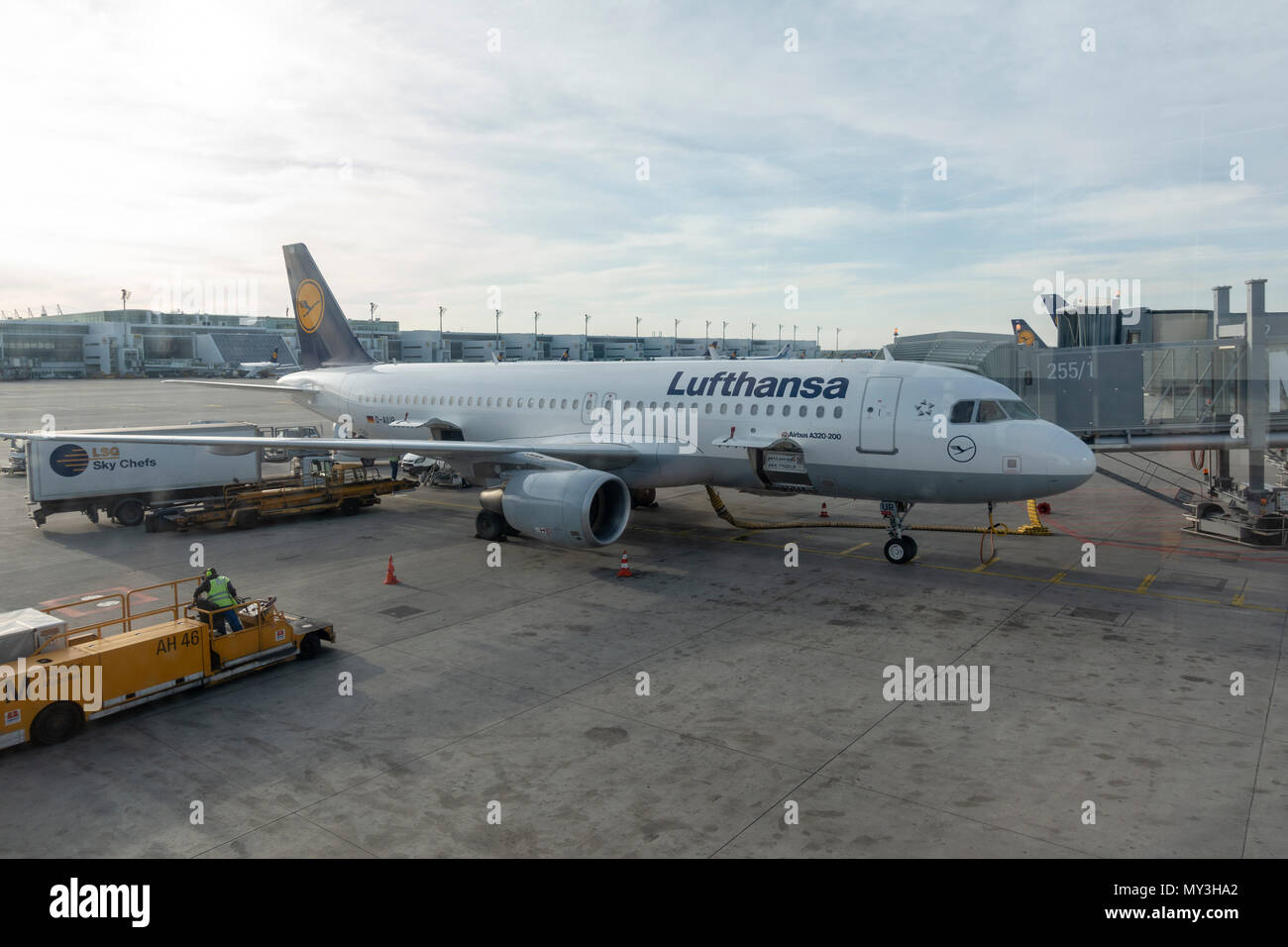 Un Lufthansa Airbus A320-200 sul supporto a Monaco di Baviera, Aeroporto (Flughafen München), Germania. Foto Stock