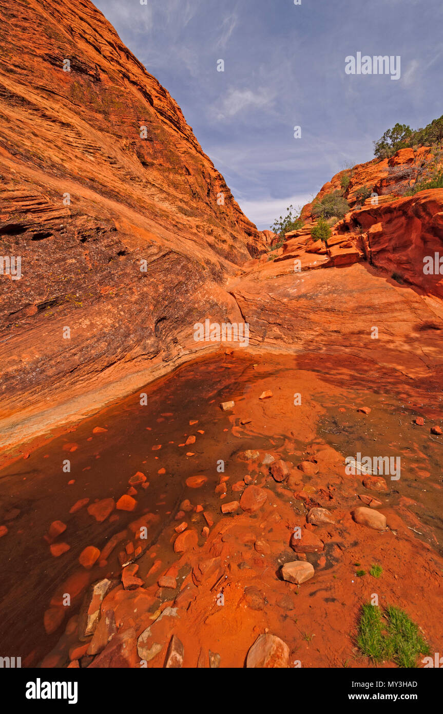 La molla stagno lungo le tre stagni Trail in Utah Foto Stock