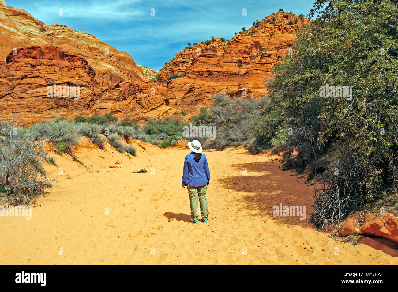 Escursionista sulle tre stagni Trail in Snow Canyon State Park in Utah Foto Stock