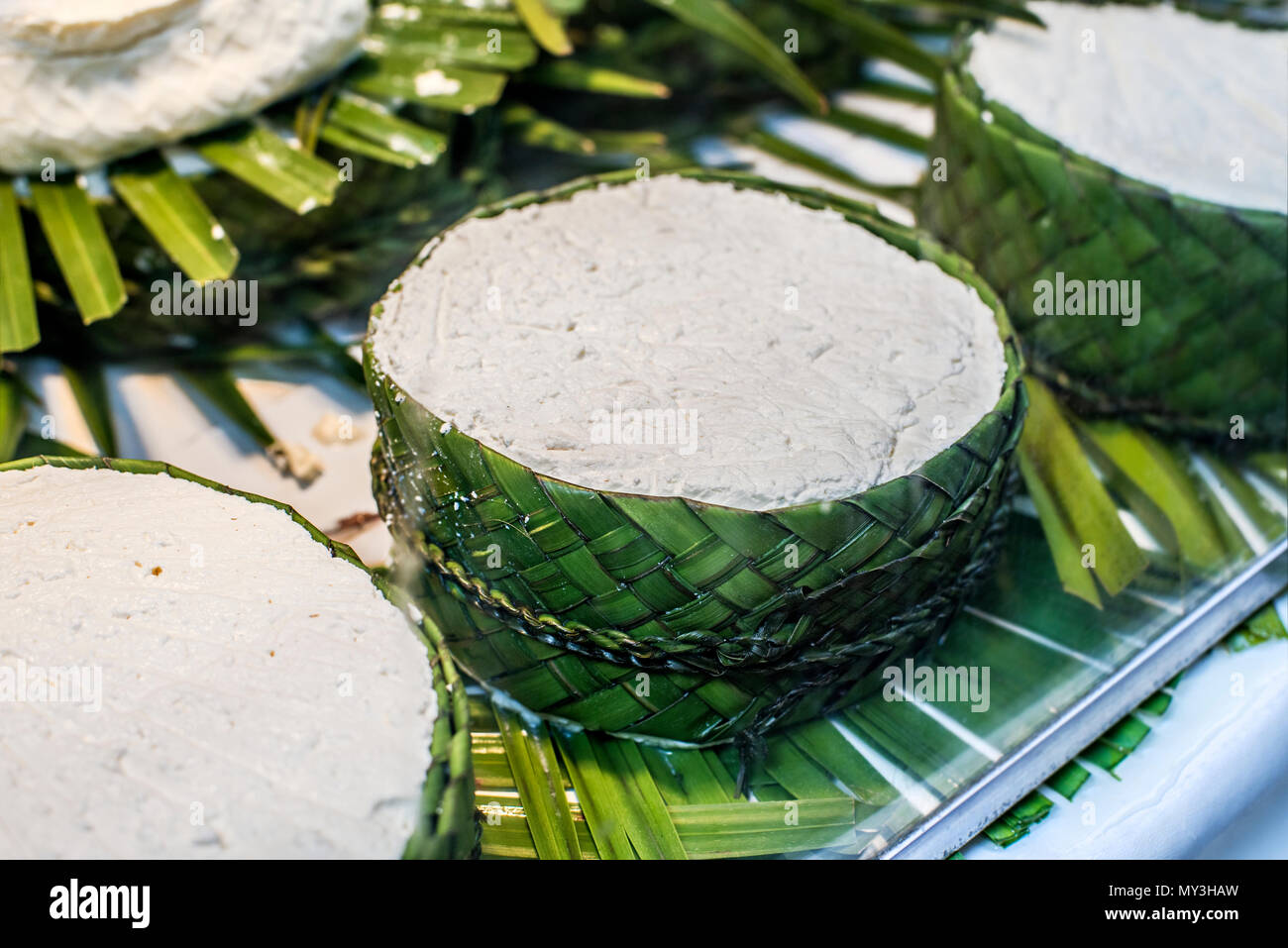 Jben, tipico formaggio fresco dal Rif regione di montagna nel nord del Marocco, su un rustico di presentazione in un mercato vetrina. Foto Stock